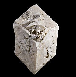  Glendonite: Calcite en pseudomorphose de Glauberite - Camp Verde, Yavapai County Arizona (7x4,m)